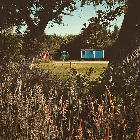 Jubbega-Schurega Pipowagens Bij Pannenkoekenrestaurant & Camping De Koppenjan 'Een Uniek Verblijf Met Kinderspeelboerderij' מראה חיצוני תמונה