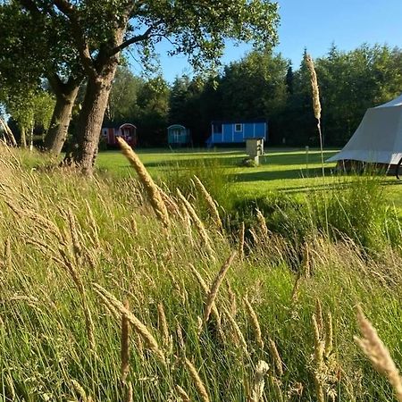 Jubbega-Schurega Pipowagens Bij Pannenkoekenrestaurant & Camping De Koppenjan 'Een Uniek Verblijf Met Kinderspeelboerderij' מראה חיצוני תמונה