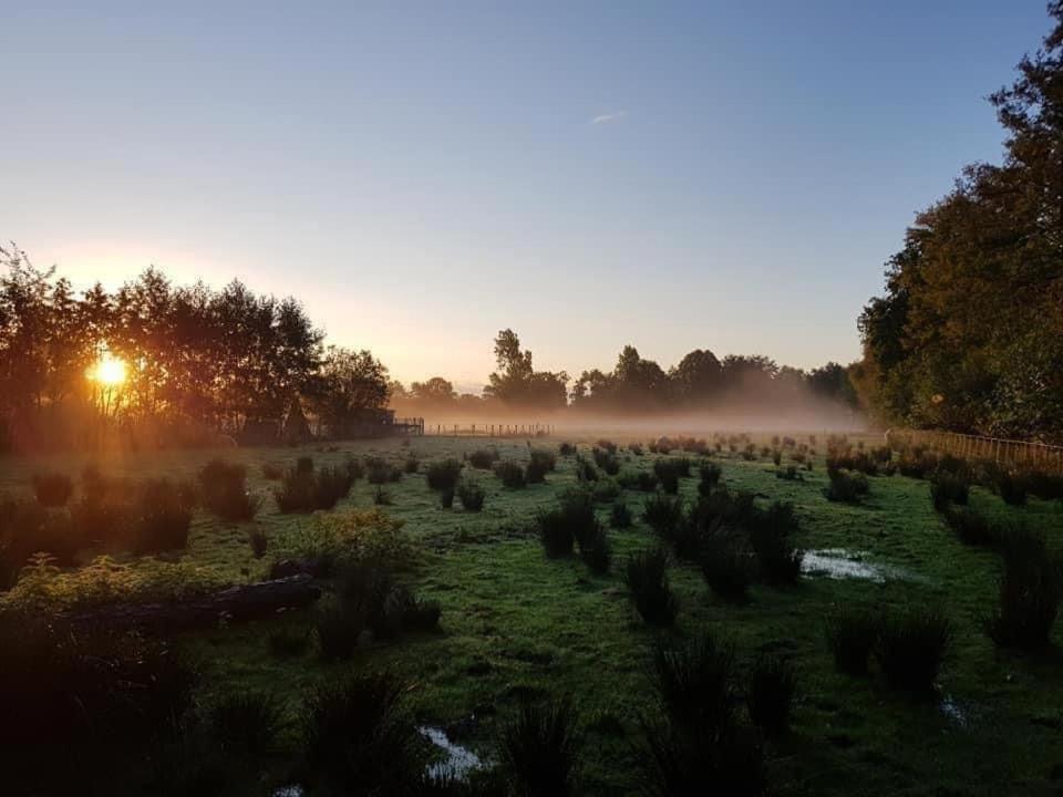 Jubbega-Schurega Pipowagens Bij Pannenkoekenrestaurant & Camping De Koppenjan 'Een Uniek Verblijf Met Kinderspeelboerderij' מראה חיצוני תמונה