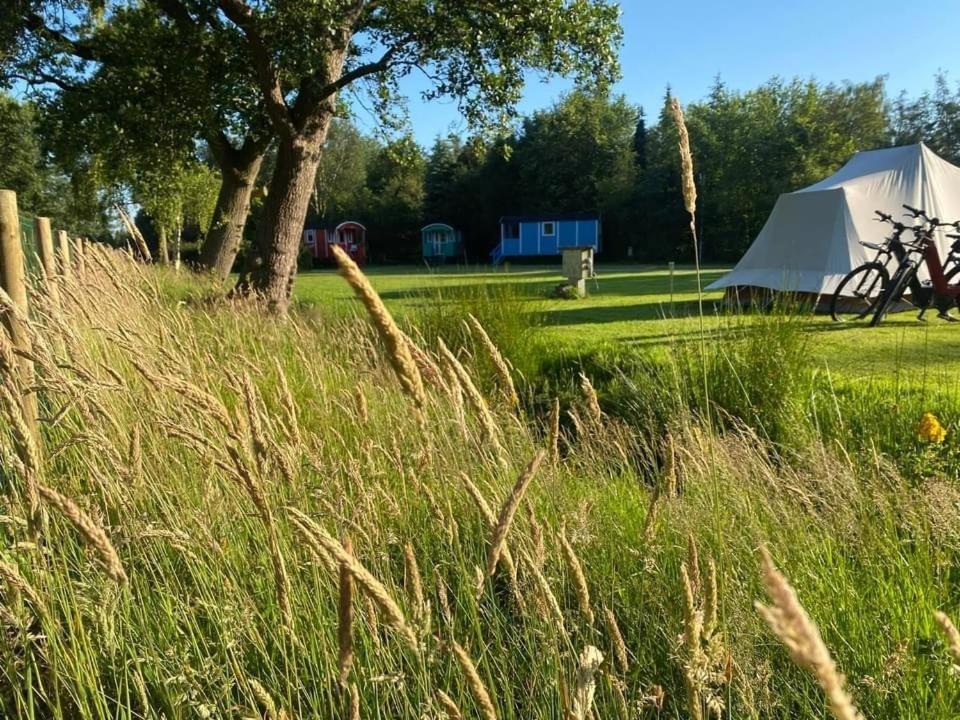 Jubbega-Schurega Pipowagens Bij Pannenkoekenrestaurant & Camping De Koppenjan 'Een Uniek Verblijf Met Kinderspeelboerderij' מראה חיצוני תמונה